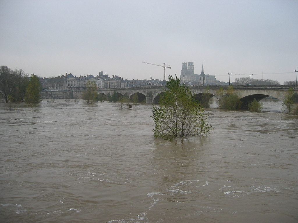 Loire en crue 18.jpg